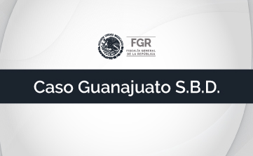 Caso Guanajuato S.B.D